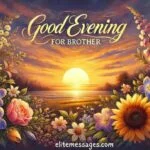 Thoughtful good evening messages to send to brother, Inspirational good evening quotes for brothers